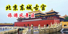 鸡巴插进骚逼里视频中国北京-东城古宫旅游风景区